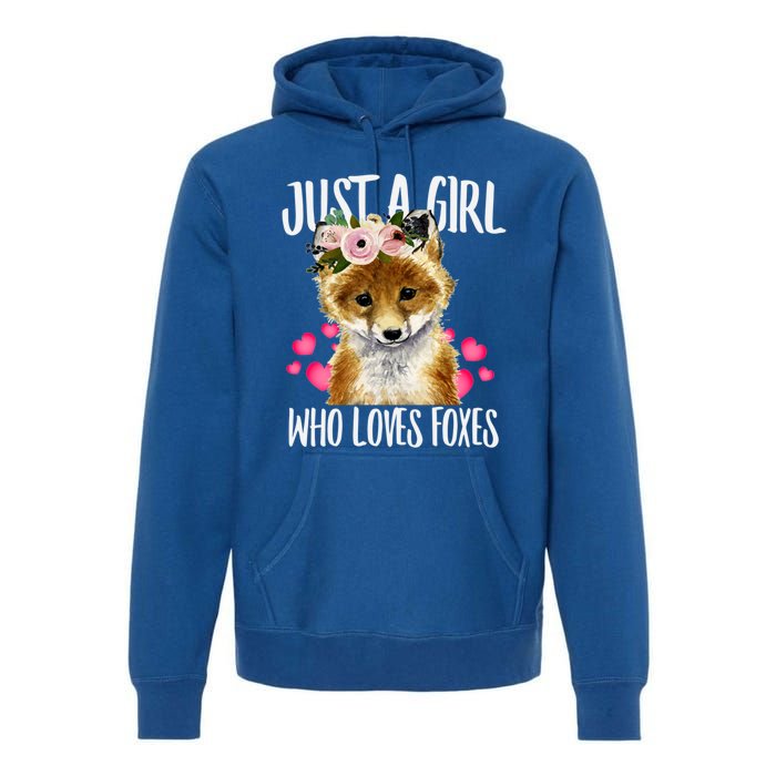 Just A Who Loves Foxes Lovegiftr Dad Mom Funny Funny Gift Premium Hoodie