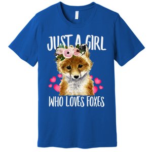 Just A Who Loves Foxes Lovegiftr Dad Mom Funny Funny Gift Premium T-Shirt