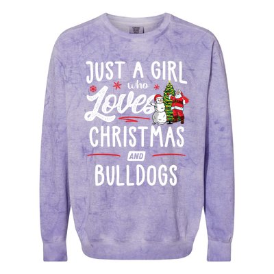 Just A Who Loves Christmas And Bulldogs Gift Funny Gift Colorblast Crewneck Sweatshirt