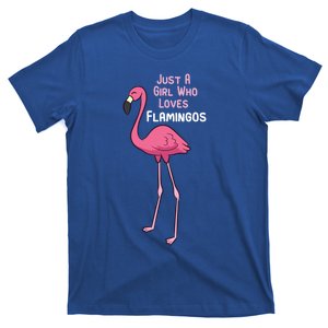 Just A Who Loves Flamingos Cute Flamingo Gift T-Shirt