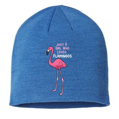 Just A Who Loves Flamingos Cute Flamingo Gift Sustainable Beanie