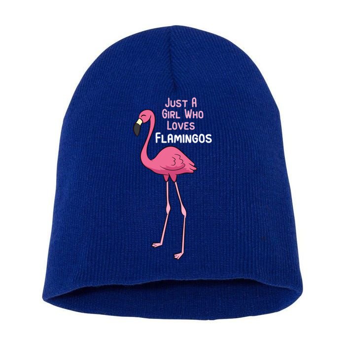 Just A Who Loves Flamingos Cute Flamingo Gift Short Acrylic Beanie