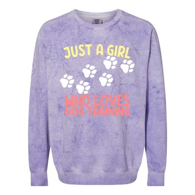 Just A Who Loves Dog Training Dog Trainer Gift Colorblast Crewneck Sweatshirt