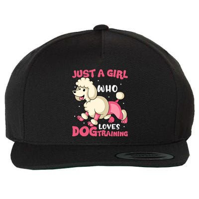 Just A Who Loves Dog Training Dog Trainer Great Gift Wool Snapback Cap