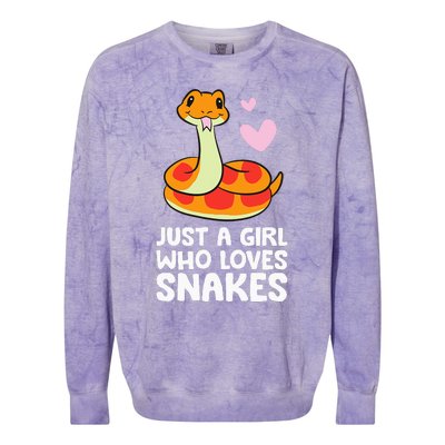 Just a  Who Loves Snakes Cute Snake Colorblast Crewneck Sweatshirt