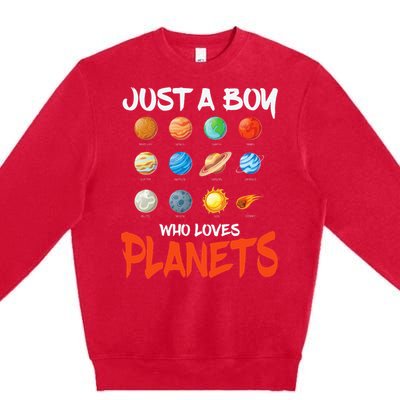 Just A Who Loves Planets Space Dwarf Solar System Gift Premium Crewneck Sweatshirt