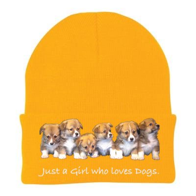 Just A Who Loves Dogs Funny For Dog Trainer Meaningful Gift Knit Cap Winter Beanie