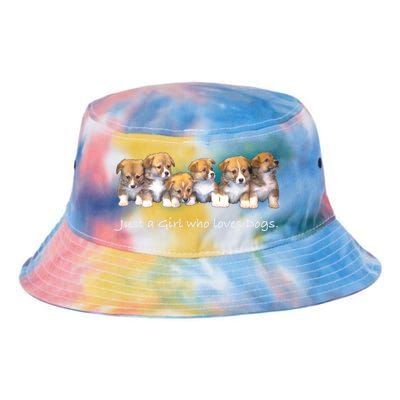 Just A Who Loves Dogs Funny For Dog Trainer Meaningful Gift Tie Dye Newport Bucket Hat