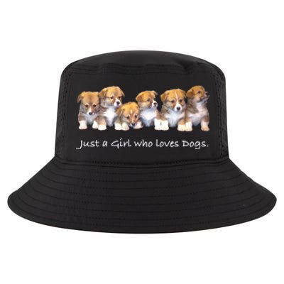 Just A Who Loves Dogs Funny For Dog Trainer Meaningful Gift Cool Comfort Performance Bucket Hat