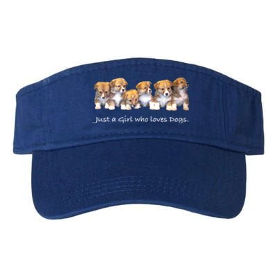 Just A Who Loves Dogs Funny For Dog Trainer Meaningful Gift Valucap Bio-Washed Visor