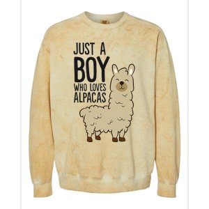 Just a Who Loves Alpacas Funny Alpaca Colorblast Crewneck Sweatshirt