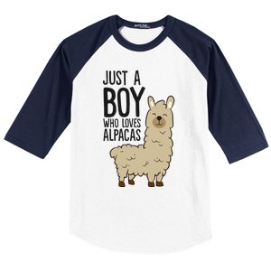 Just a Who Loves Alpacas Funny Alpaca Baseball Sleeve Shirt