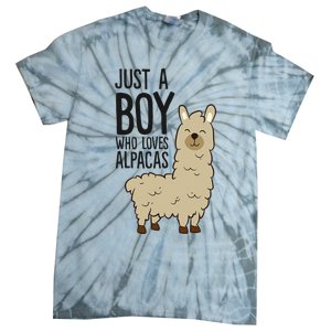 Just a Who Loves Alpacas Funny Alpaca Tie-Dye T-Shirt