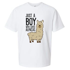 Just a Who Loves Alpacas Funny Alpaca Sueded Cloud Jersey T-Shirt