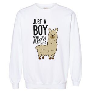 Just a Who Loves Alpacas Funny Alpaca Garment-Dyed Sweatshirt