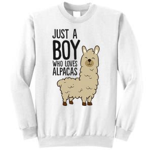 Just a Who Loves Alpacas Funny Alpaca Sweatshirt