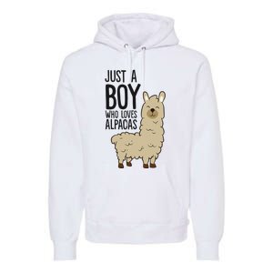 Just a Who Loves Alpacas Funny Alpaca Premium Hoodie