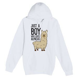 Just a Who Loves Alpacas Funny Alpaca Premium Pullover Hoodie