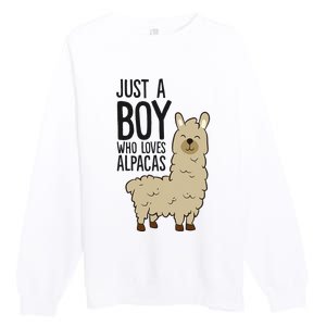 Just a Who Loves Alpacas Funny Alpaca Premium Crewneck Sweatshirt