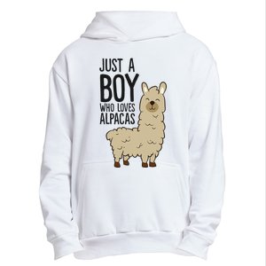 Just a Who Loves Alpacas Funny Alpaca Urban Pullover Hoodie