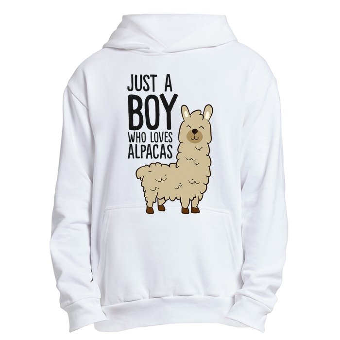 Just a Who Loves Alpacas Funny Alpaca Urban Pullover Hoodie