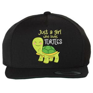 Just A Who Loves Turtles Sea Turtle Gift Wool Snapback Cap