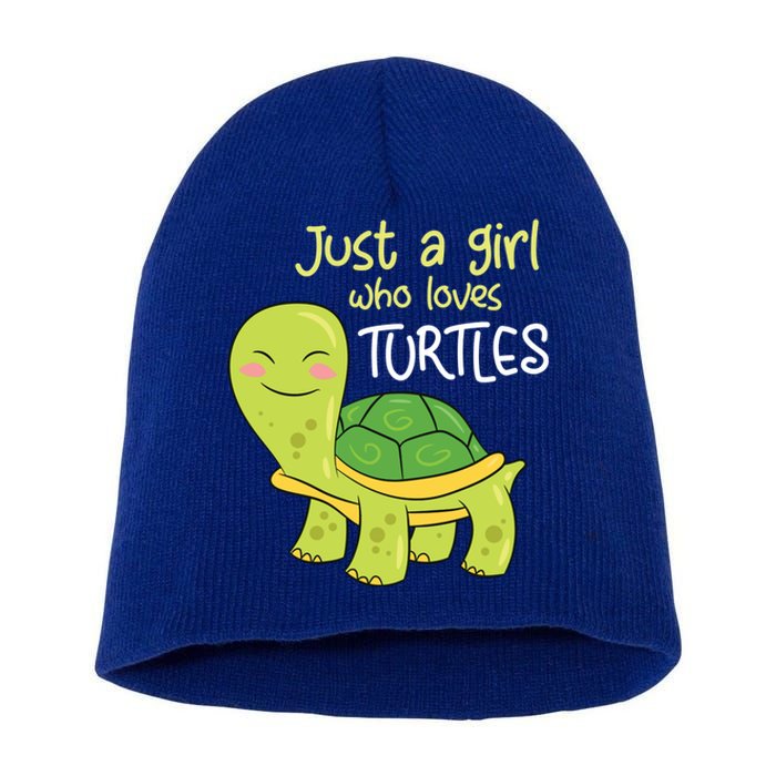 Just A Who Loves Turtles Sea Turtle Gift Short Acrylic Beanie