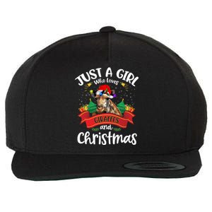 Just A Who Loves Giraffes And Christmas Santa Hat Lights Gift Wool Snapback Cap