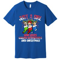 Just A Who Loves Golden Retrievers And Christmas Cool Gift Premium T-Shirt