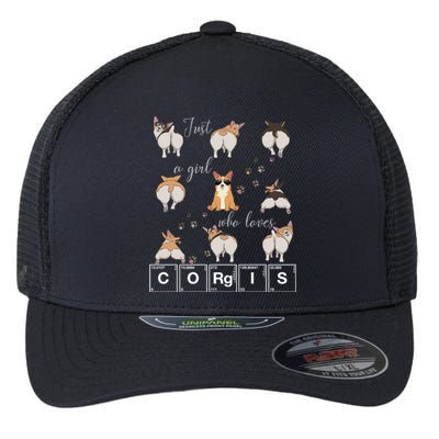 Just A Who Loves Corgis Welsh Corgi Dog Lover Science Gift Flexfit Unipanel Trucker Cap