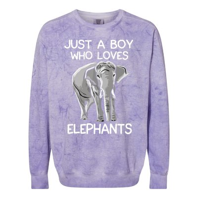 Just A Who Loves Elephants Funny Elephant Lover Colorblast Crewneck Sweatshirt