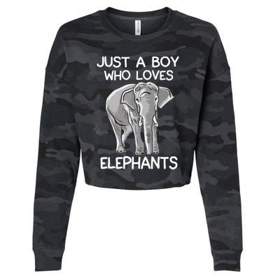 Just A Who Loves Elephants Funny Elephant Lover Cropped Pullover Crew