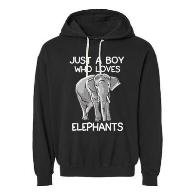 Just A Who Loves Elephants Funny Elephant Lover Garment-Dyed Fleece Hoodie