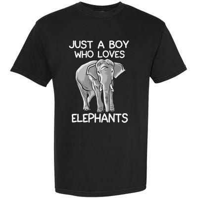 Just A Who Loves Elephants Funny Elephant Lover Garment-Dyed Heavyweight T-Shirt