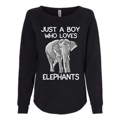 Just A Who Loves Elephants Funny Elephant Lover Womens California Wash Sweatshirt