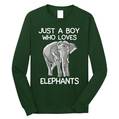 Just A Who Loves Elephants Funny Elephant Lover Long Sleeve Shirt