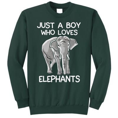 Just A Who Loves Elephants Funny Elephant Lover Sweatshirt