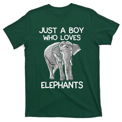 Just A Who Loves Elephants Funny Elephant Lover T-Shirt