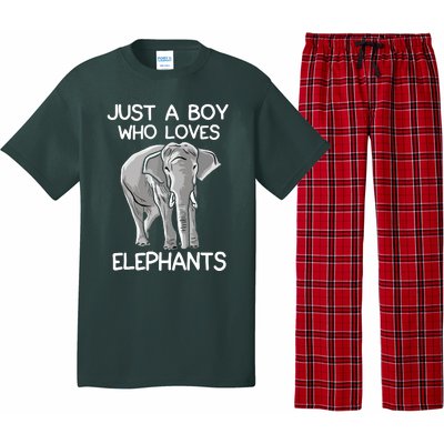 Just A Who Loves Elephants Funny Elephant Lover Pajama Set