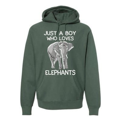 Just A Who Loves Elephants Funny Elephant Lover Premium Hoodie