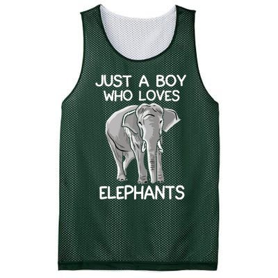 Just A Who Loves Elephants Funny Elephant Lover Mesh Reversible Basketball Jersey Tank