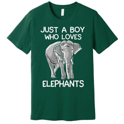 Just A Who Loves Elephants Funny Elephant Lover Premium T-Shirt