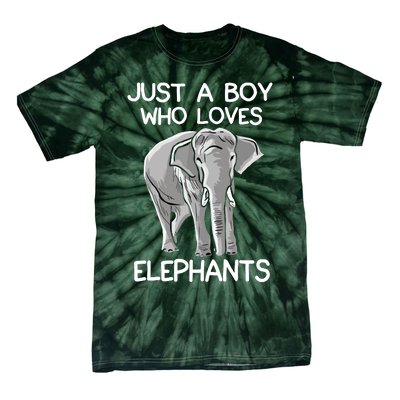 Just A Who Loves Elephants Funny Elephant Lover Tie-Dye T-Shirt