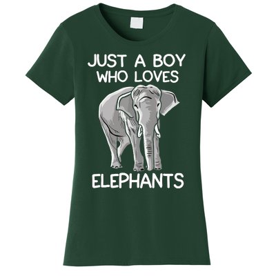 Just A Who Loves Elephants Funny Elephant Lover Women's T-Shirt