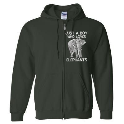 Just A Who Loves Elephants Funny Elephant Lover Full Zip Hoodie