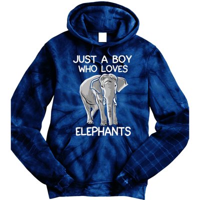 Just A Who Loves Elephants Funny Elephant Lover Tie Dye Hoodie