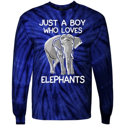 Just A Who Loves Elephants Funny Elephant Lover Tie-Dye Long Sleeve Shirt