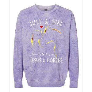 Just A Who Loves Jesus And Horses Equestrian Christian Gift Colorblast Crewneck Sweatshirt