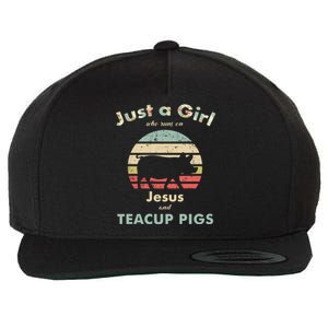 Just A Who Runs On Jesus And Teacup Pigs Gift Wool Snapback Cap