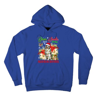 Just Bring Australian Shepherds Christmas Flowers Santa Dog Gift Hoodie